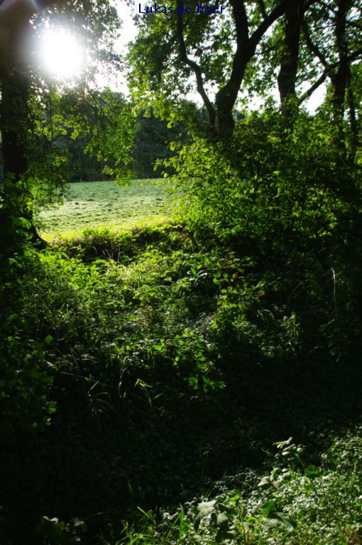 tour 2010 (19).jpg - Zonlicht vallende door de wallen voor het Dennenkamp